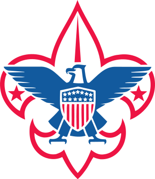 BSA Logo