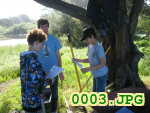Picture 0003