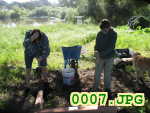 Picture 0007