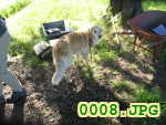 Picture 0008