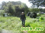 Picture 0009