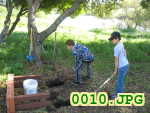 Picture 0010