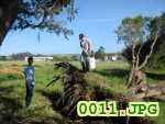Picture 0011