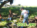 Picture 0013
