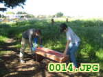 Picture 0014