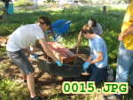 Picture 0015