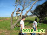 Picture 0018