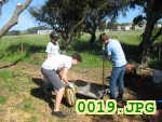 Picture 0019