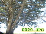 Picture 0020