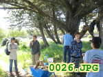 Picture 0026