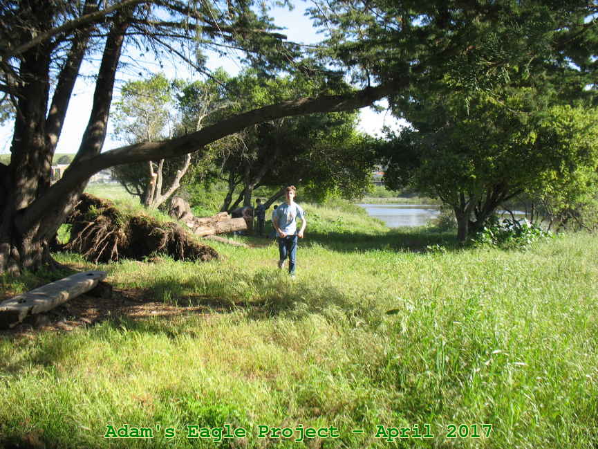 Picture 0004