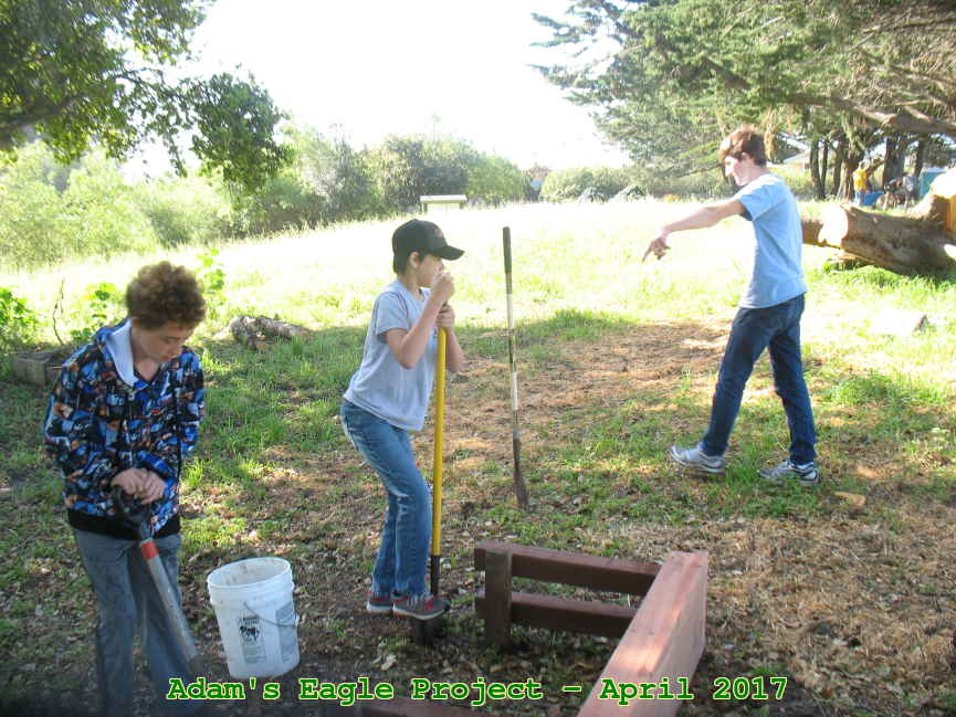 Picture 0005
