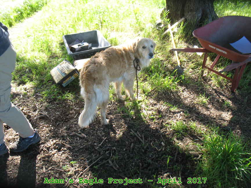Picture 0008