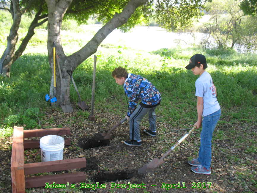 Picture 0010