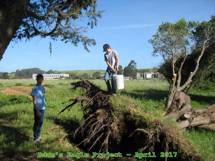 Picture 0011