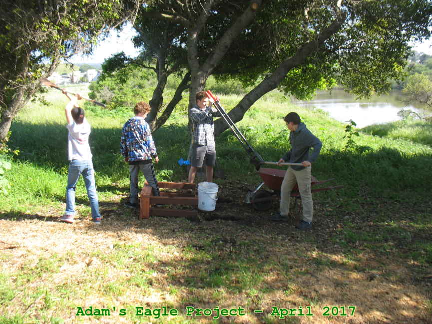 Picture 0012