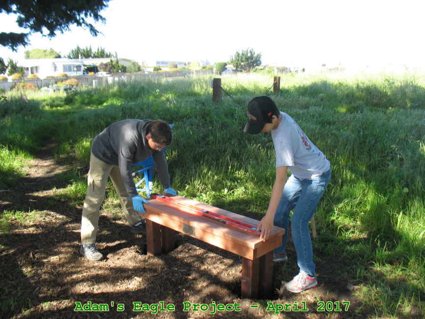 Picture 0014