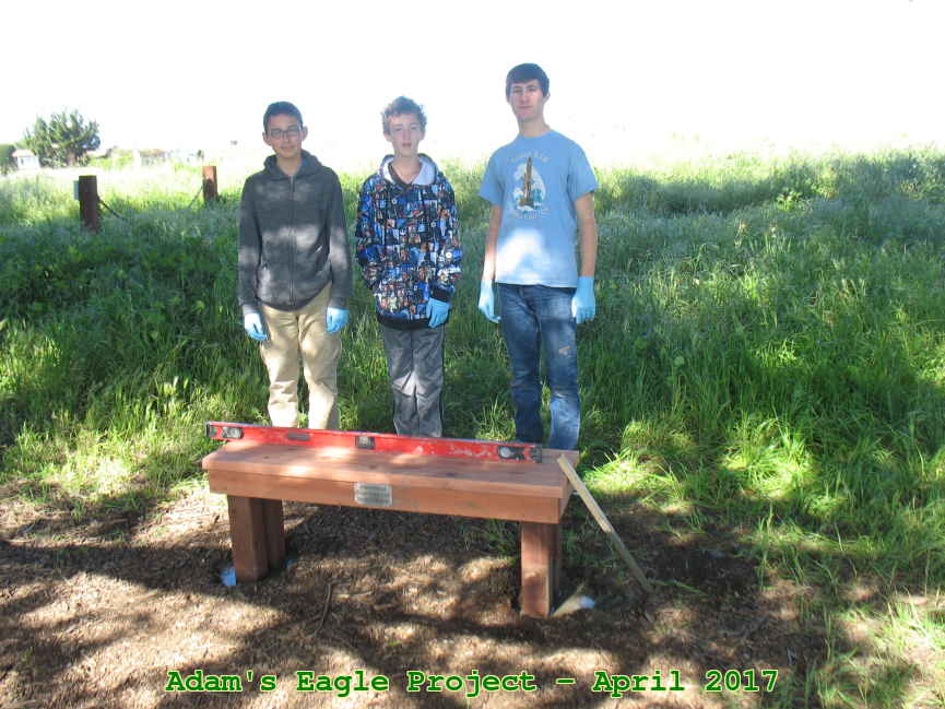 Picture 0017