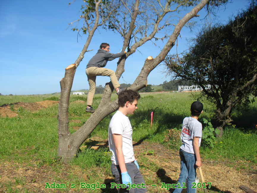 Picture 0018