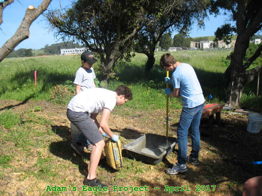 Picture 0019