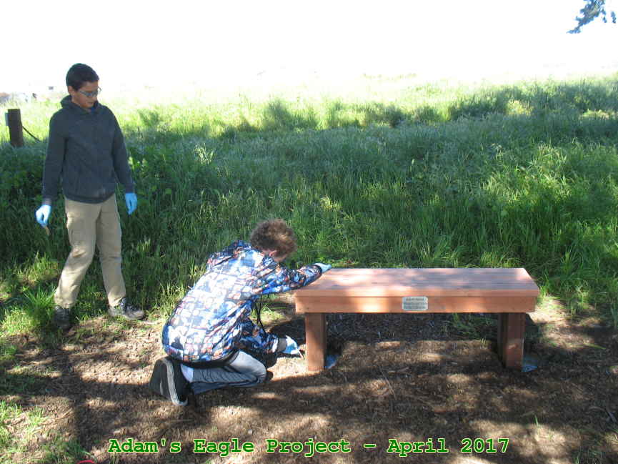 Picture 0021