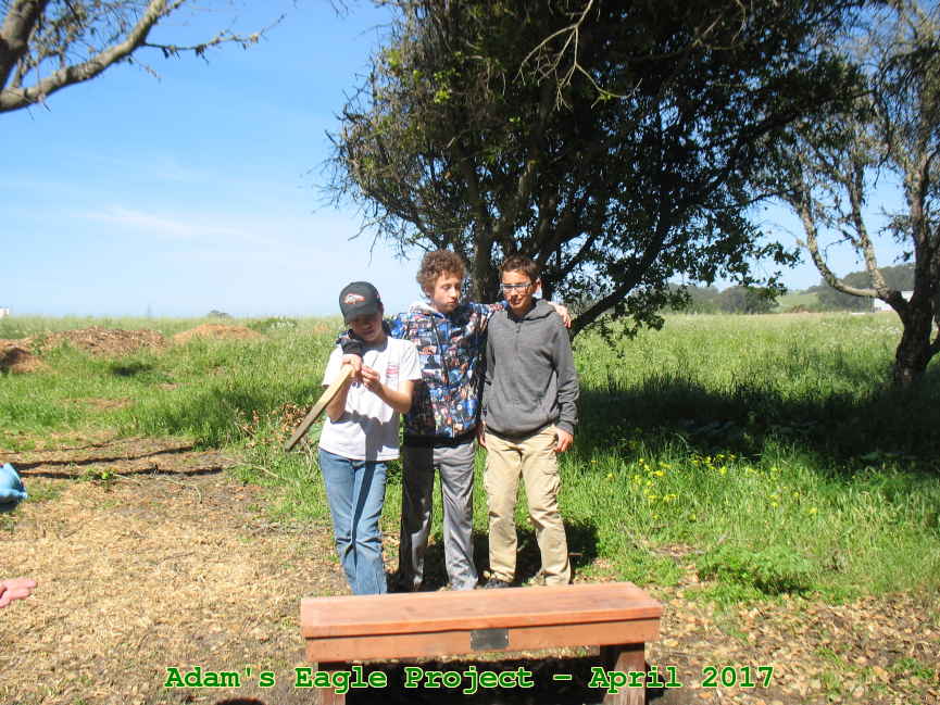 Picture 0024