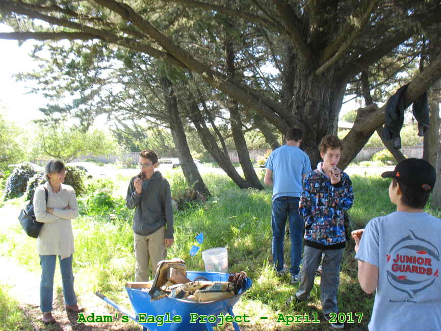 Picture 0026