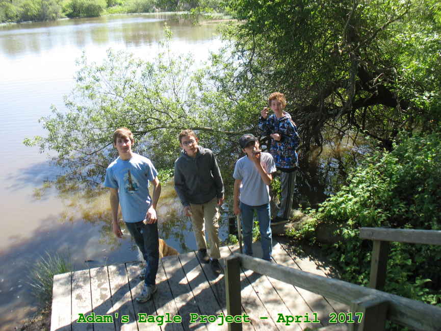 Picture 0029