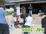 Picture 0001