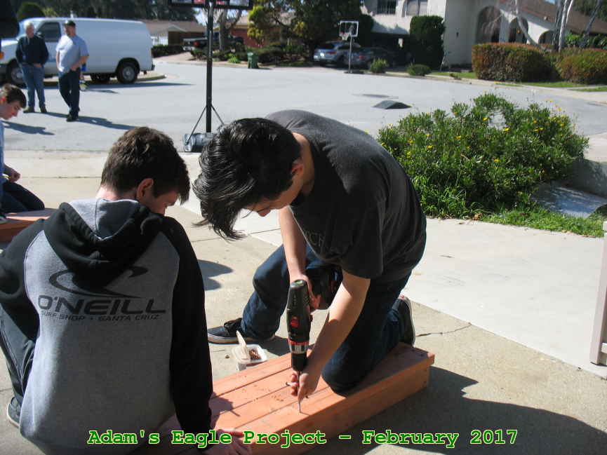 Picture 0011