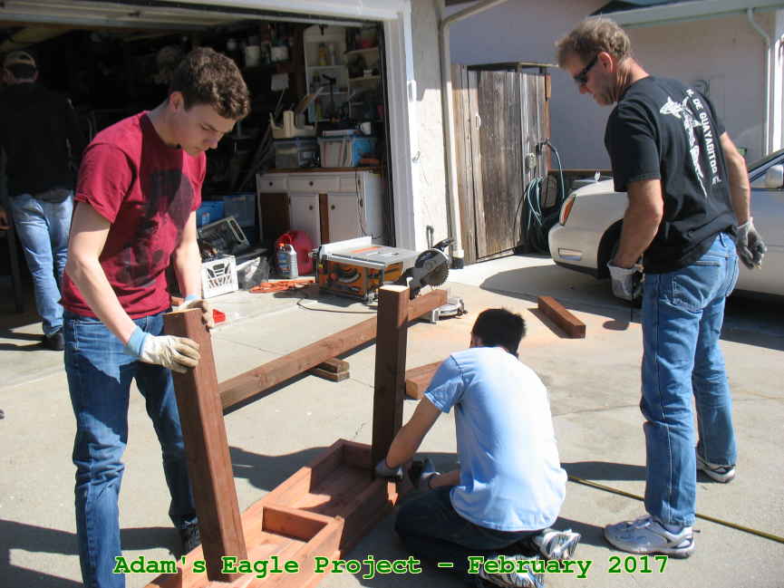 Picture 0016