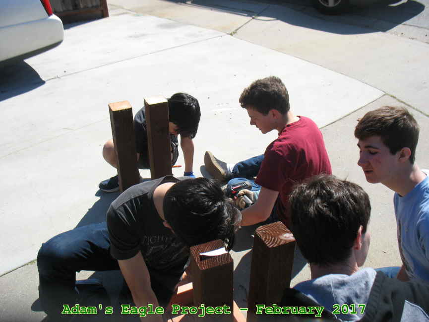 Picture 0020