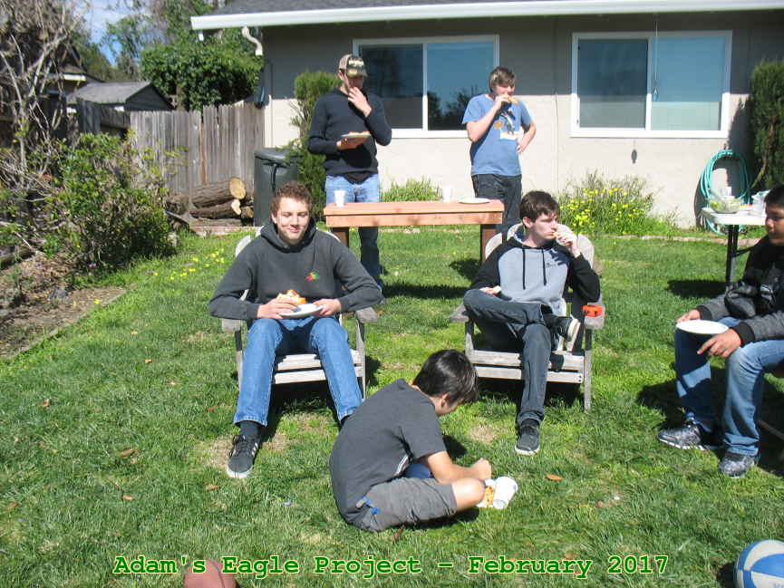 Picture 0025