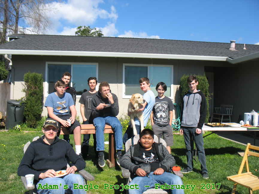 Picture 0029