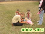 Picture 0002