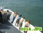 Picture 0014