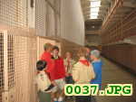 Picture 0037