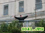Picture 0041