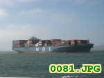 Picture 0081