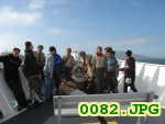 Picture 0082