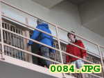 Picture 0084
