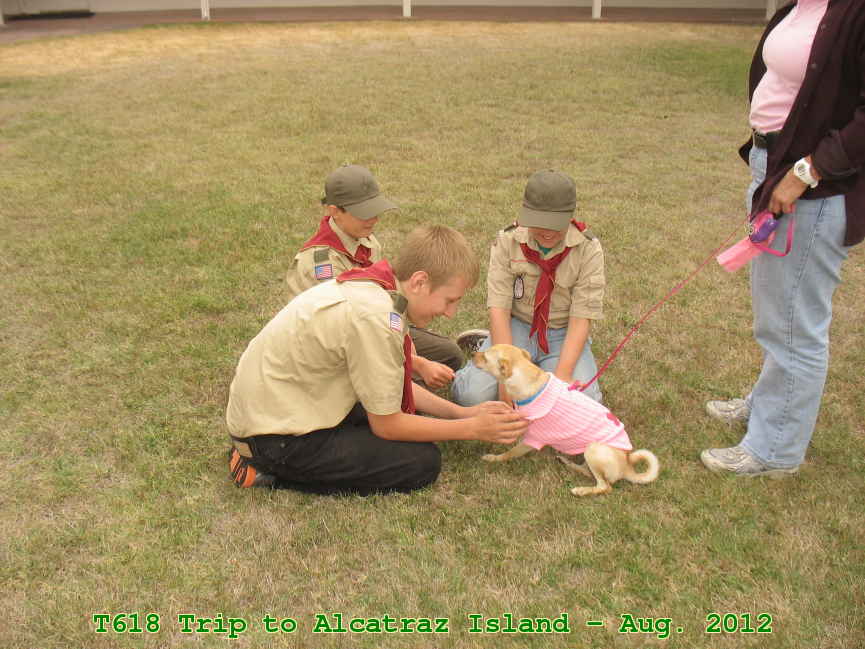 Picture 0002