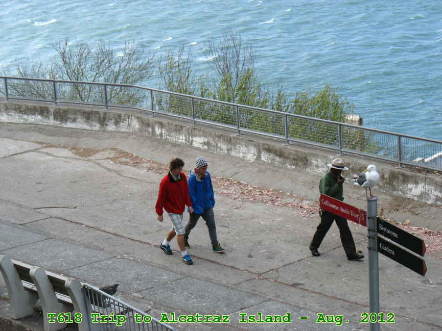 Picture 0039