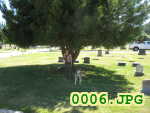 Picture 0006
