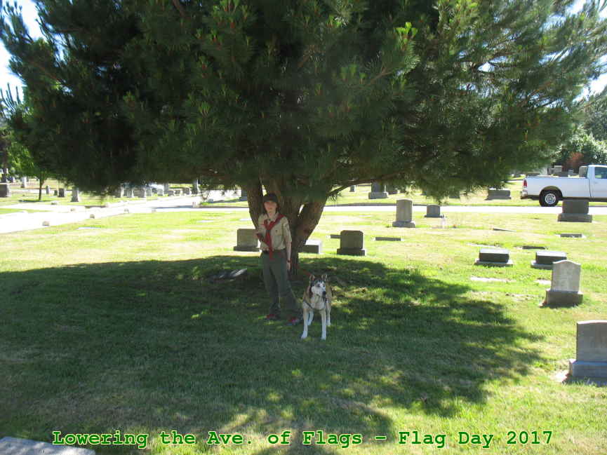 Picture 0006