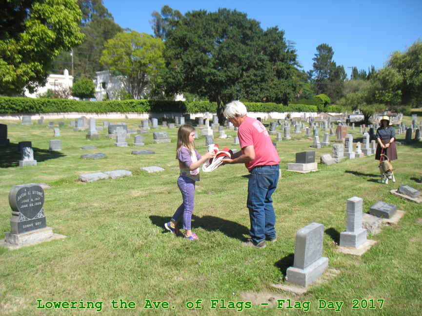 Picture 0011
