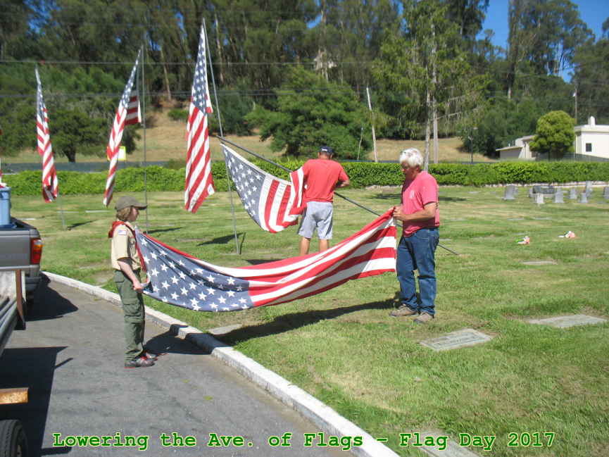 Picture 0012