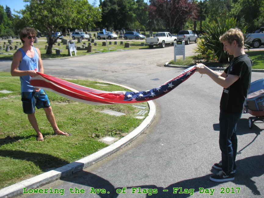 Picture 0013