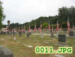 Picture 0011