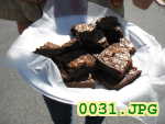 Picture 0031